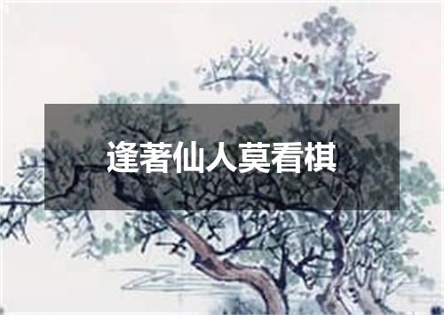 逢著仙人莫看棋