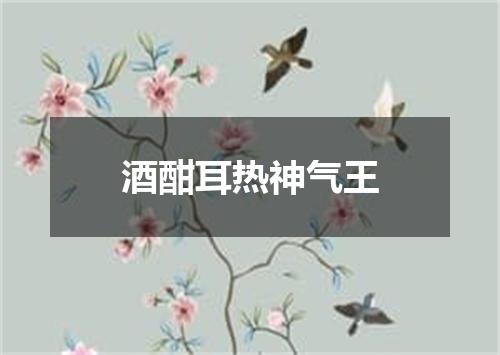 酒酣耳热神气王