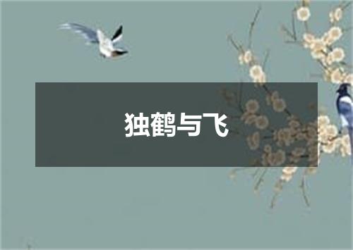 独鹤与飞