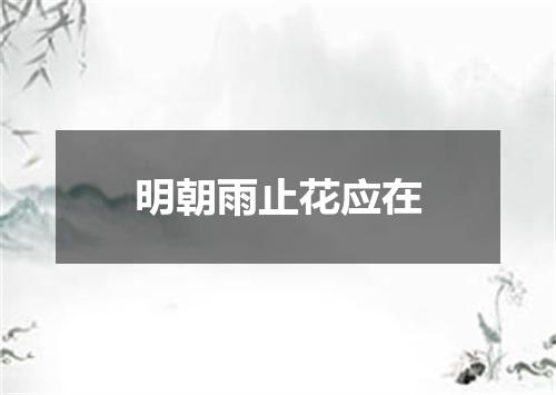 明朝雨止花应在