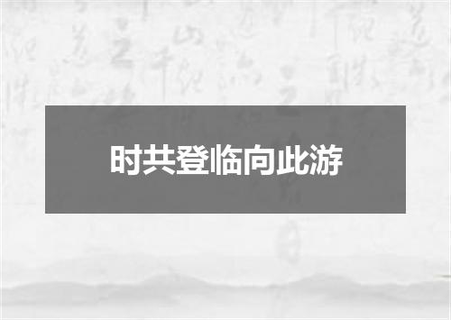 时共登临向此游