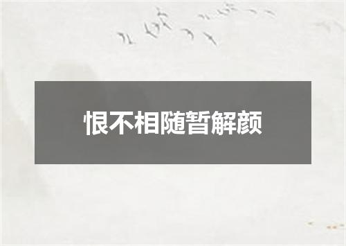 恨不相随暂解颜