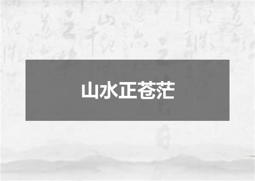 山水正苍茫