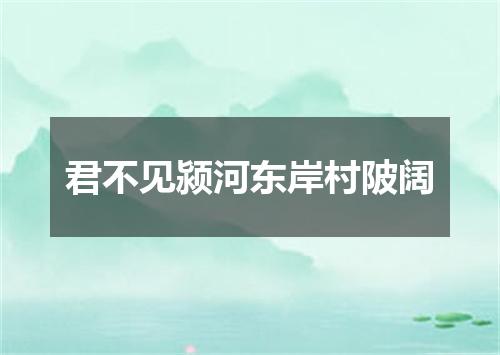 君不见颍河东岸村陂阔