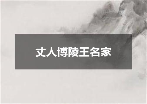 丈人博陵王名家