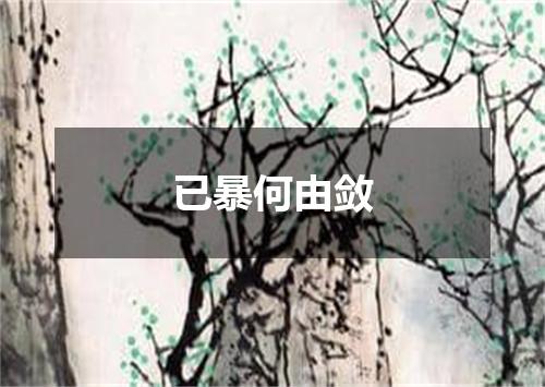 已暴何由敛