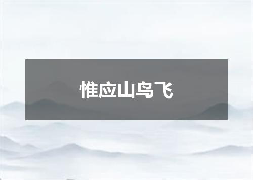 惟应山鸟飞