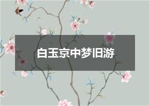 白玉京中梦旧游