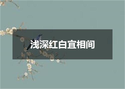 浅深红白宜相间