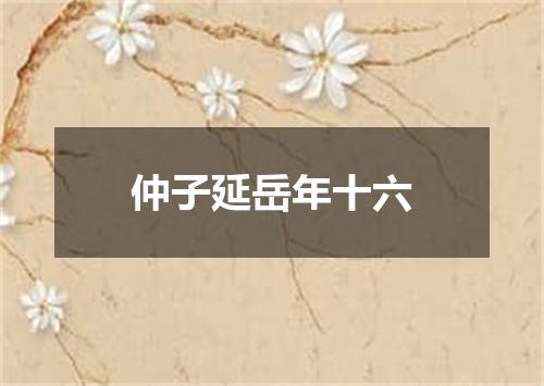 仲子延岳年十六