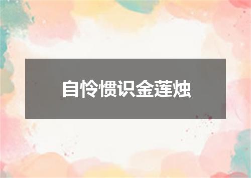 自怜惯识金莲烛