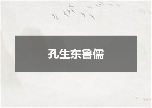 孔生东鲁儒