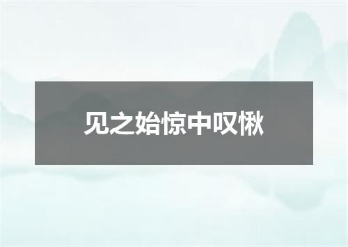 见之始惊中叹愀