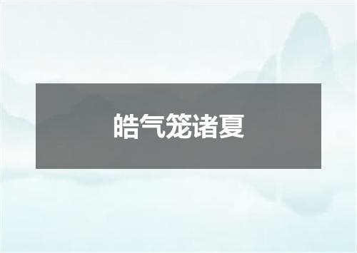 皓气笼诸夏