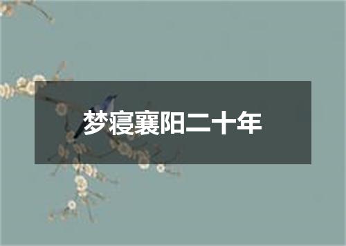 梦寝襄阳二十年