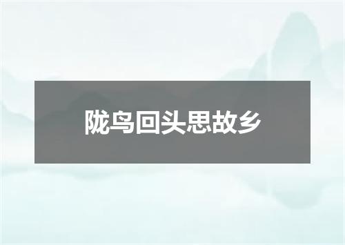 陇鸟回头思故乡