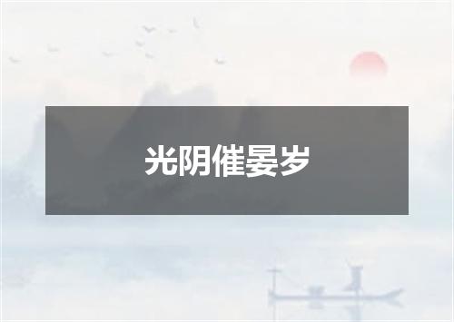 光阴催晏岁