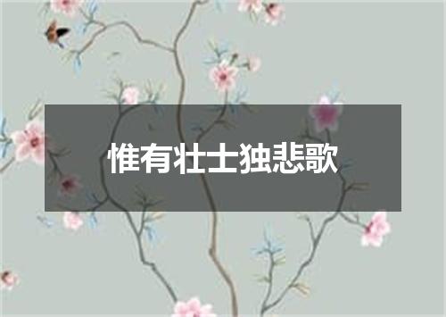 惟有壮士独悲歌