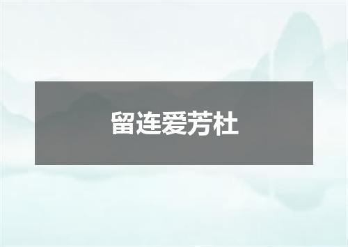 留连爱芳杜