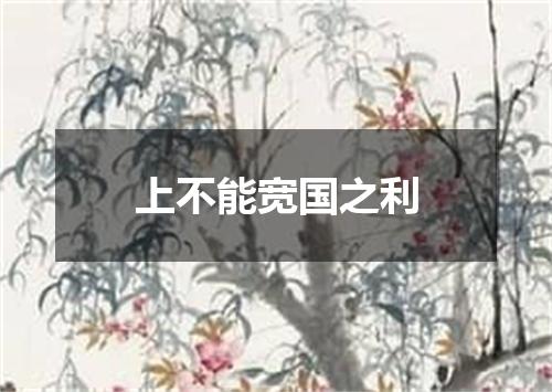 上不能宽国之利