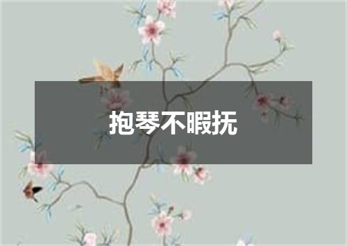 抱琴不暇抚