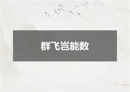 群飞岂能数