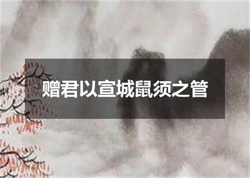 赠君以宣城鼠须之管