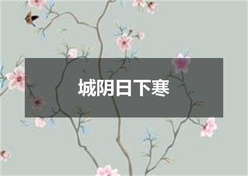 城阴日下寒