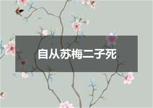 自从苏梅二子死