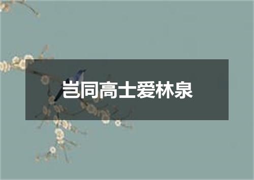 岂同高士爱林泉