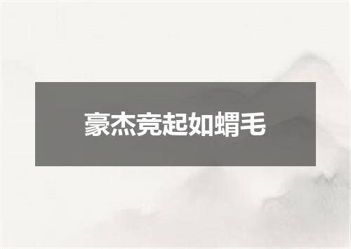 豪杰竞起如蝟毛