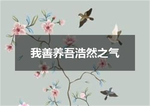 我善养吾浩然之气