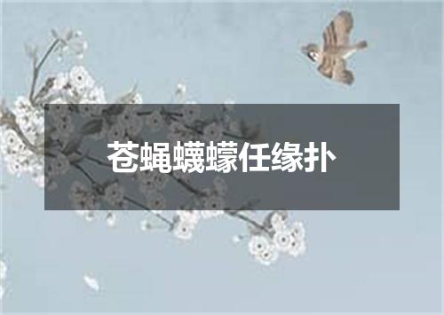 苍蝇蠛蠓任缘扑