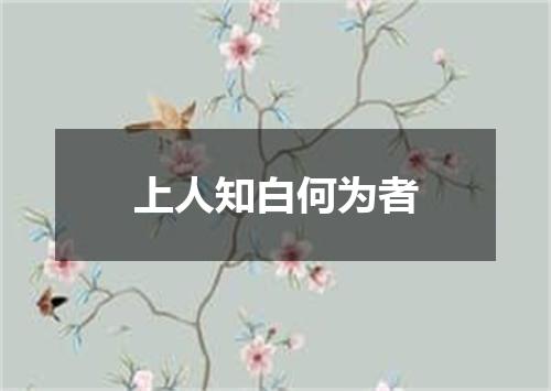 上人知白何为者