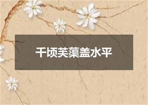 千顷芙蕖盖水平