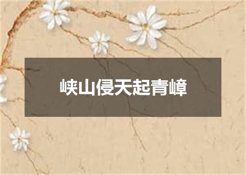 峡山侵天起青嶂