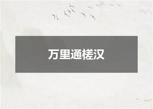 万里通槎汉