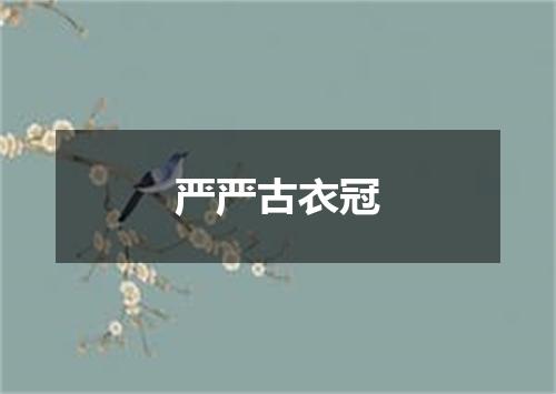 严严古衣冠