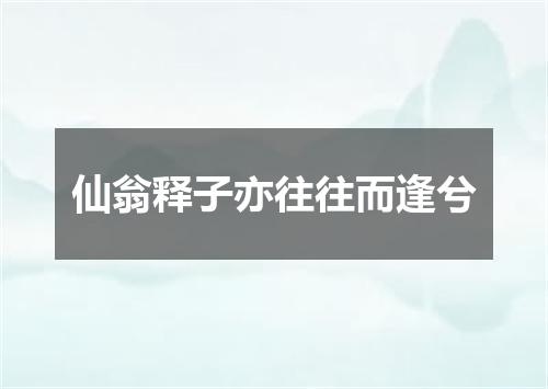 仙翁释子亦往往而逢兮