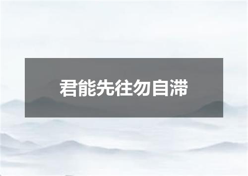 君能先往勿自滞