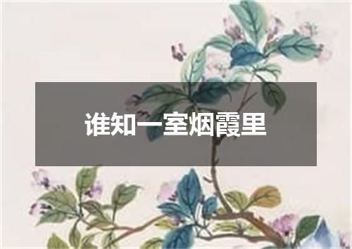 谁知一室烟霞里