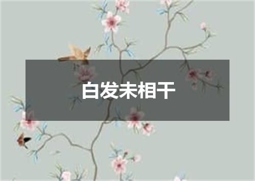 白发未相干