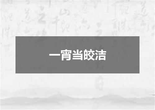 一宵当皎洁