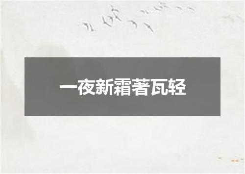 一夜新霜著瓦轻