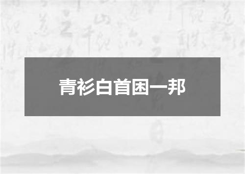 青衫白首困一邦