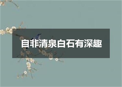 自非清泉白石有深趣