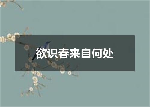 欲识春来自何处