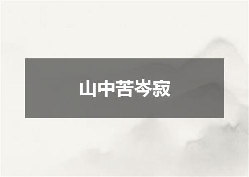 山中苦岑寂