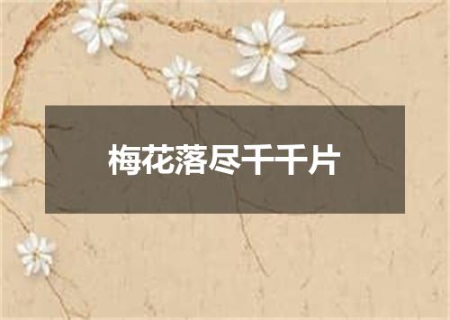 梅花落尽千千片