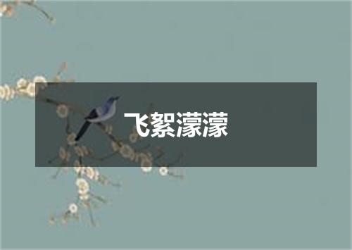 飞絮濛濛